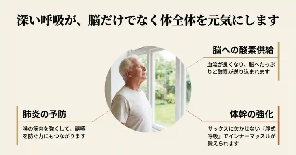 腹式呼吸が心身の健康に直結する